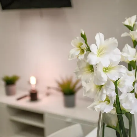 Venezuela - Playa La Caleta Appartamento