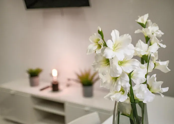 Venezuela - Playa La Caleta Apartment